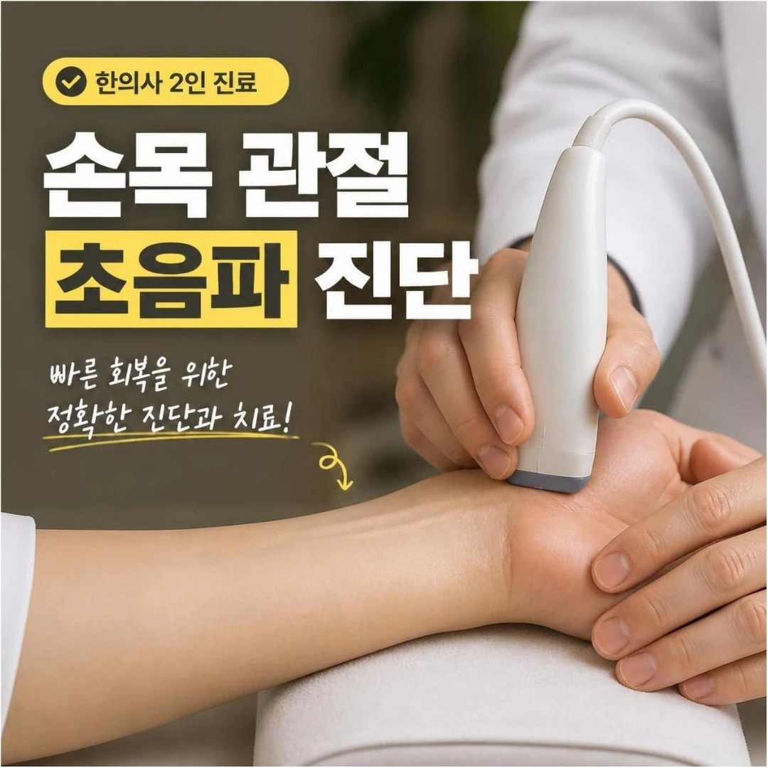 손목 관절 초음파 진단